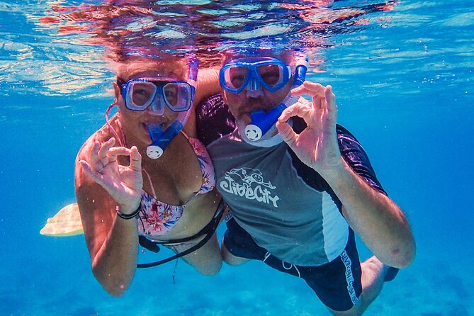 VIP Private Snorkeling Tour with Underwater Photos - Finding coral, fish, turtles, and smaller creatures