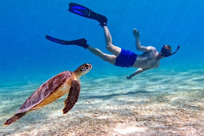 VIP Private Snorkeling Tour with Underwater Photos - Choosing the right spot when the sea changes