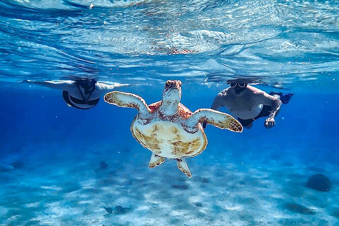 VIP Private Snorkeling Tour with Underwater Photos - Pairing snorkeling with an island tour