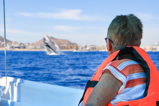Whale Tour, Arch, Professional Photos & Hydrophone - Cabo’s Arch, beaches, and rock formations