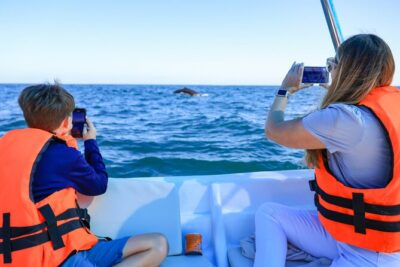 Whale Tour, Arch, Professional Photos & Hydrophone