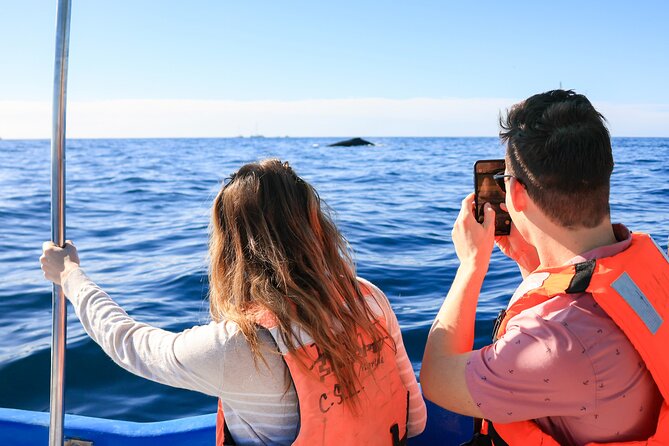 Whale Tour, Arch, Professional Photos & Hydrophone - Who will get the most from this outing
