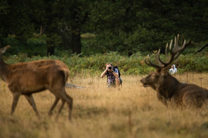 Wildlife Photography Workshop in Richmond Park in London - What the three-hour session teaches you