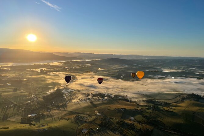 Yarra Valley Sunrise Balloon Flight with GoPro Photos - One hour above vineyards, farms, and morning fog